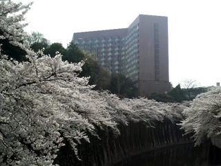 江戸川橋公園＆フォーシーズンホテル