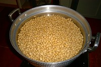 miso20050215_01.jpg