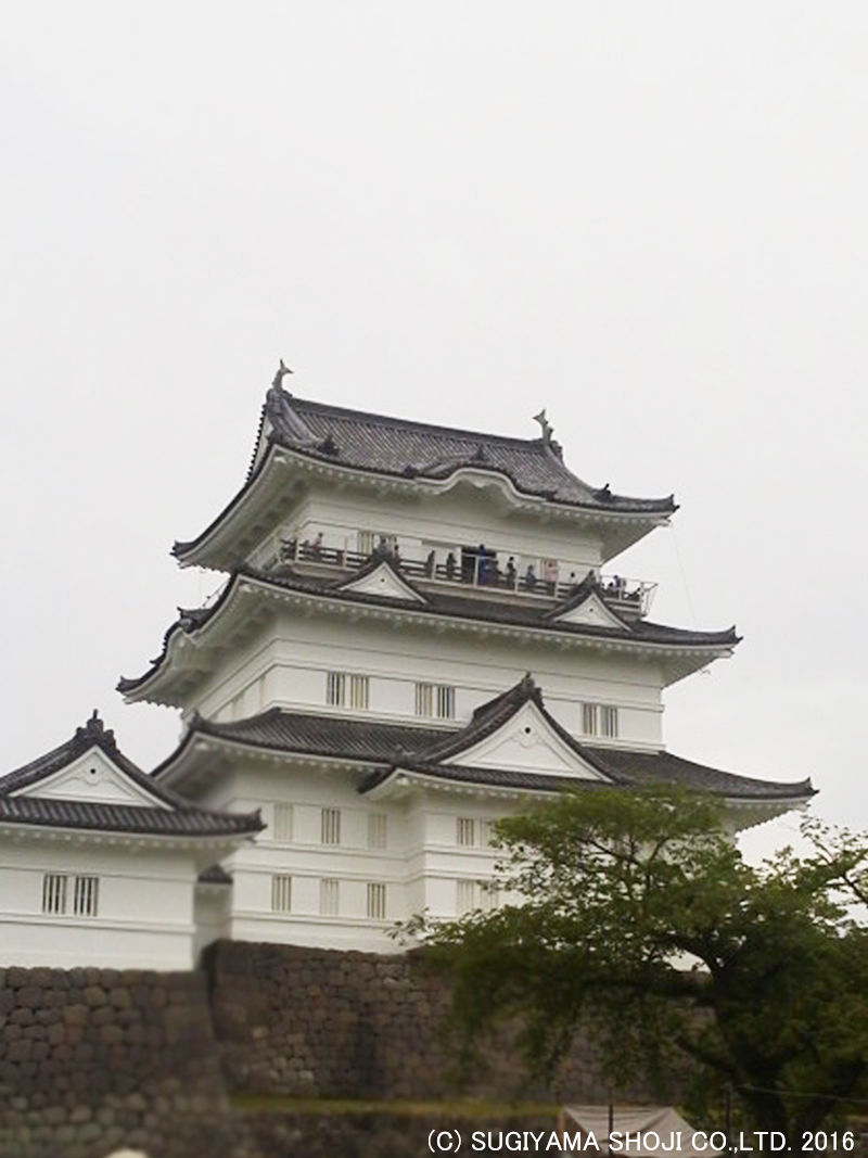 http://www.sugiyama1904.co.jp/ja/blog/archives/20160525_6.jpg