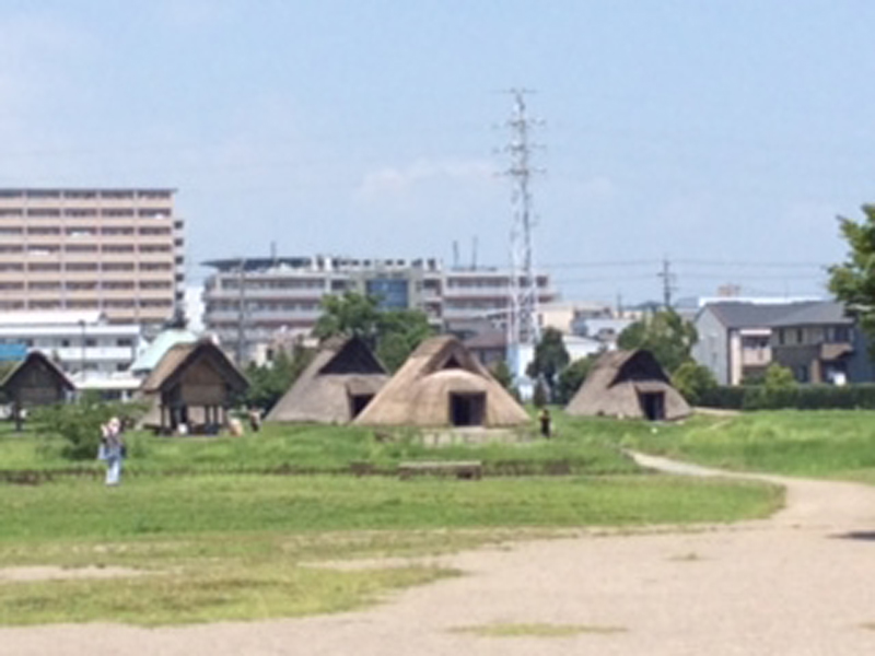 http://www.sugiyama1904.co.jp/ja/blog/archives/20180910-1.jpeg