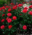 20140716_11.jpg