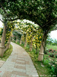 20140716_7.jpg