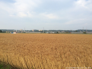 20160601_2.jpg