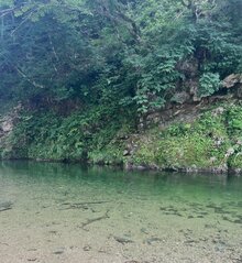 20260713-1.jpg