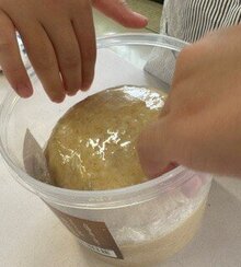 20260728-6.jpg