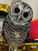 20260909-1.jpg